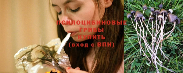 Альфа ПВП Алзамай