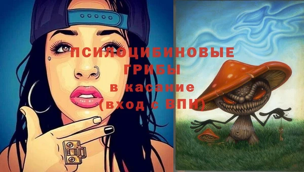 Альфа ПВП Алзамай